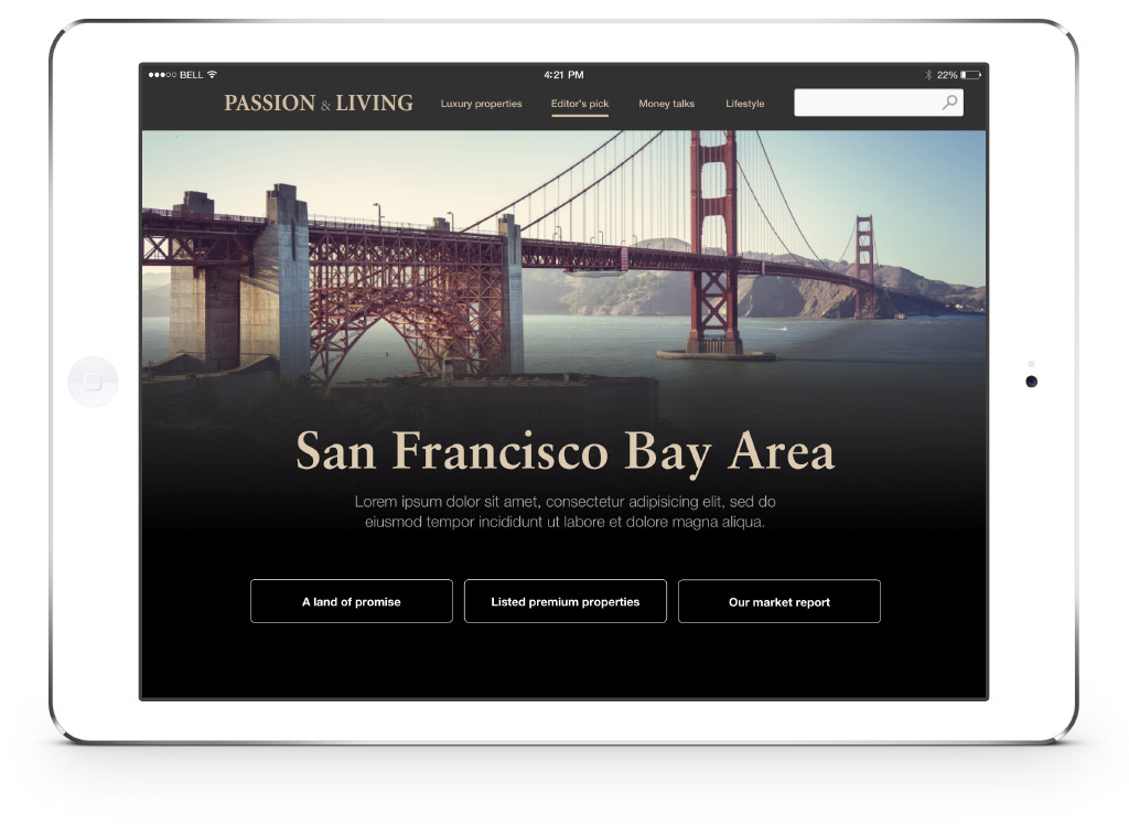 iPad version of User Interface 